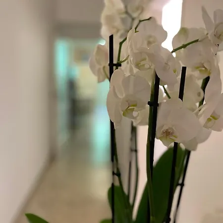 Ruote Family Appartement Florence