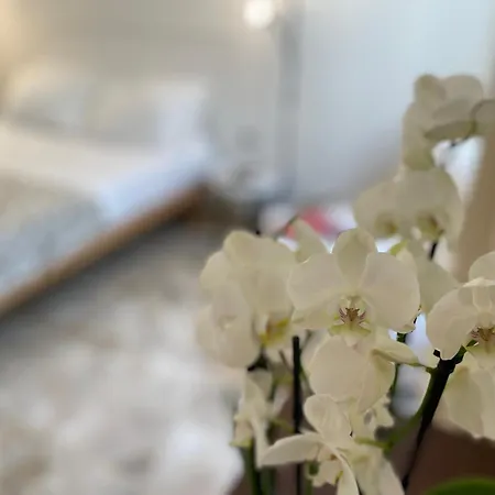 Appartement Ruote Family Florence